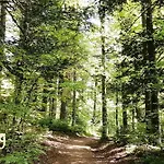 Mental Fit, Schwarzwald Apartmán