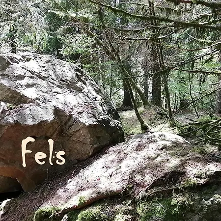 דירה Mental Fit, Schwarzwald *