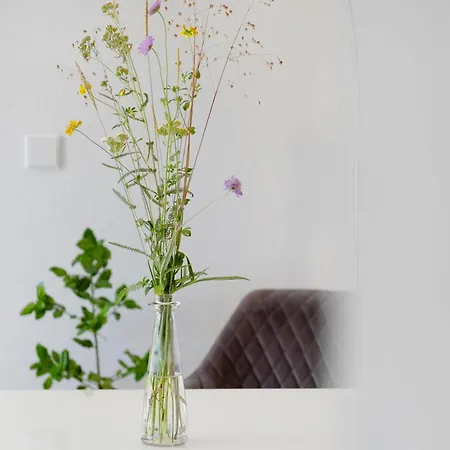 Mental Fit, Schwarzwald