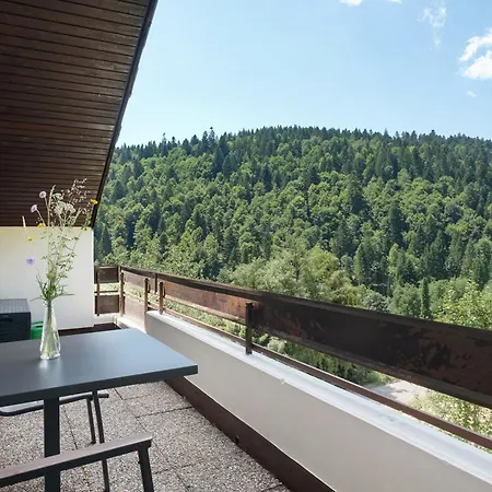 Mental Fit, Schwarzwald דירה טודמוס