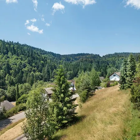 דירה Mental Fit, Schwarzwald טודמוס