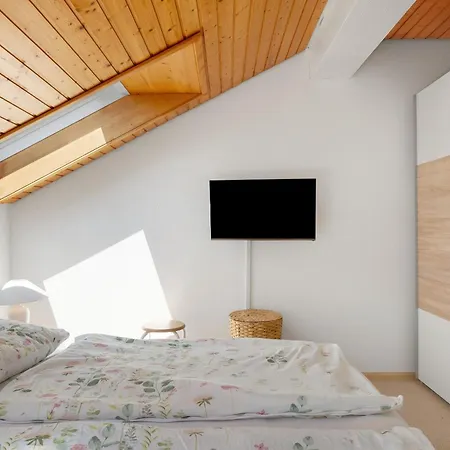 Mental Fit, Schwarzwald דירה טודמוס