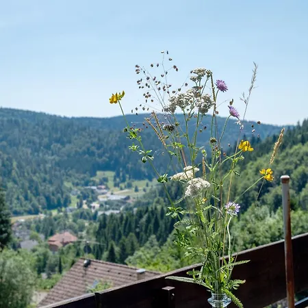 Mental Fit, Schwarzwald شقة