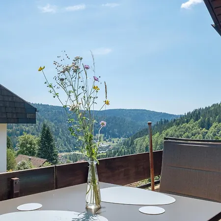 Mental Fit, Schwarzwald דירה *