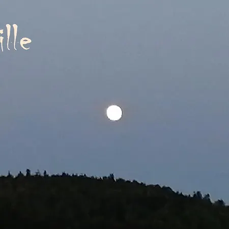 Mental Fit, Schwarzwald טודמוס
