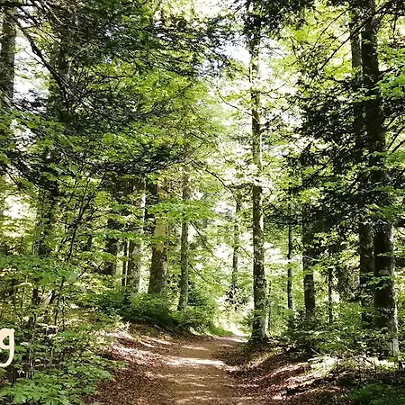 Mental Fit, Schwarzwald דירה