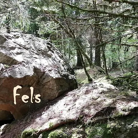 דירה Mental Fit, Schwarzwald *