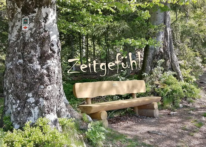 Mental Fit, Schwarzwald